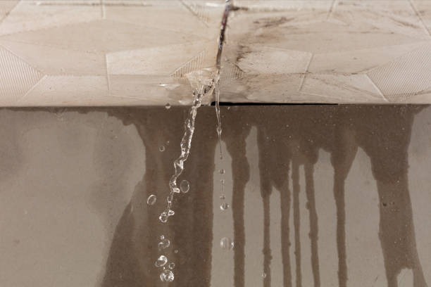 Professional Burst Pipe Cleanup technician working in Earth, TX